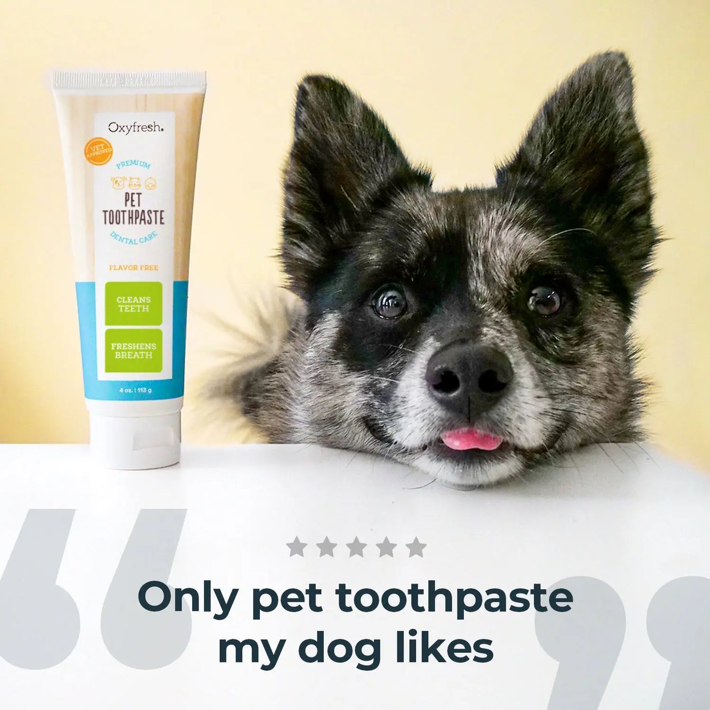 Premium Pet Toothpaste - Best Way to Clean Pet Teeth & Remove Plaque