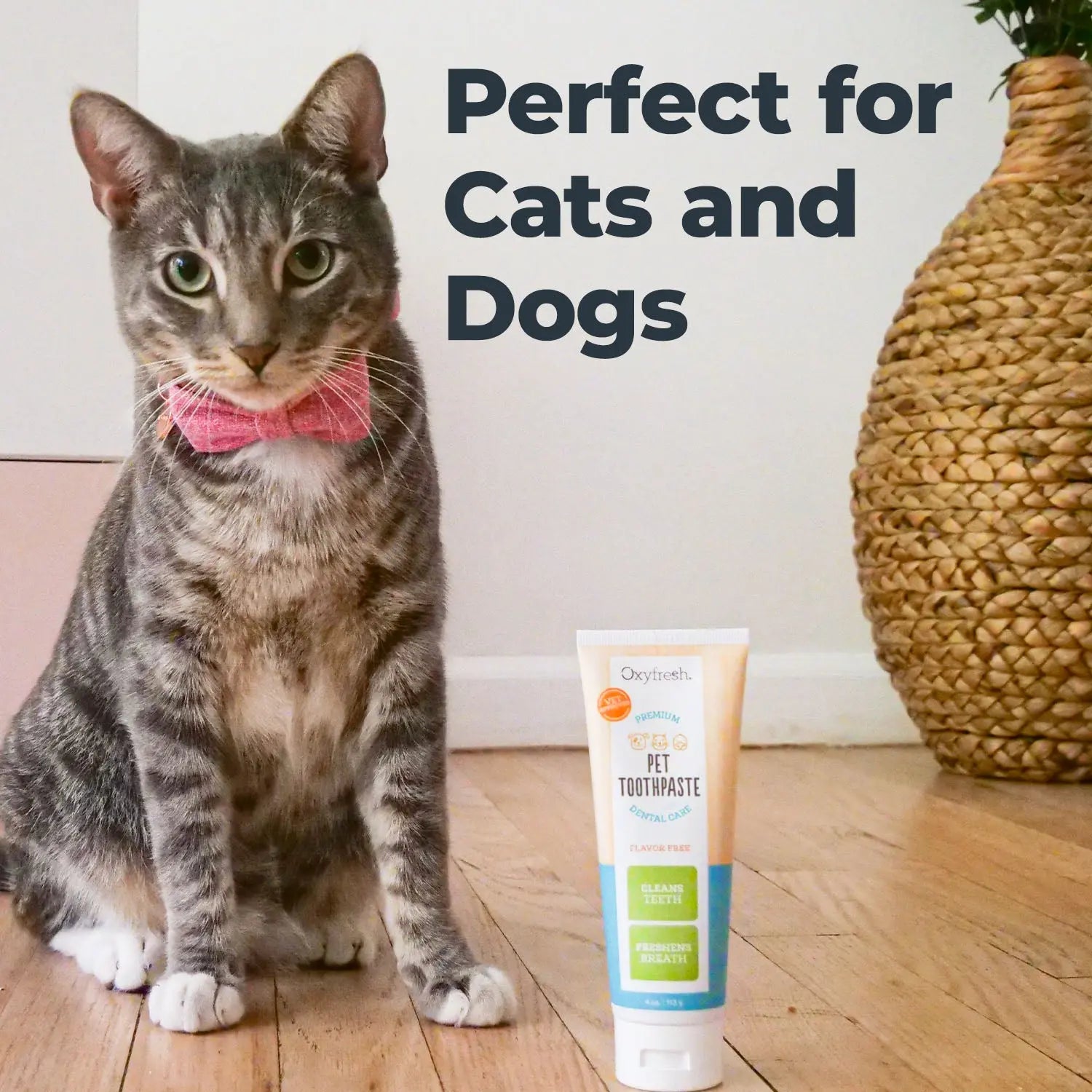 Premium Pet Toothpaste - Best Way to Clean Pet Teeth & Remove Plaque